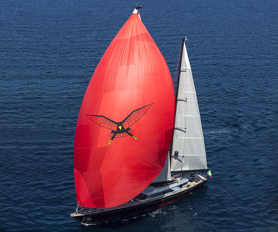 sea hawk sailing yacht